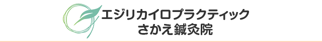 エジリカイロプラクティックさかえ鍼灸院