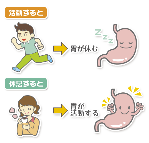 胃の働きの説明