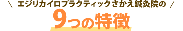 エジリカイロプラクティックさかえ鍼灸院の5つの特徴