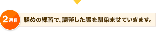 2週目 軽めの練習で、調整した膝を馴染ませていきます。