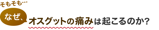 そもそも…なぜ、オスグットの痛みは起こるのか？