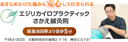 エジリカイロプラクティックさかえ鍼灸院